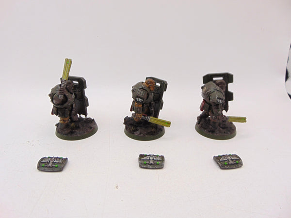 Bullgryns