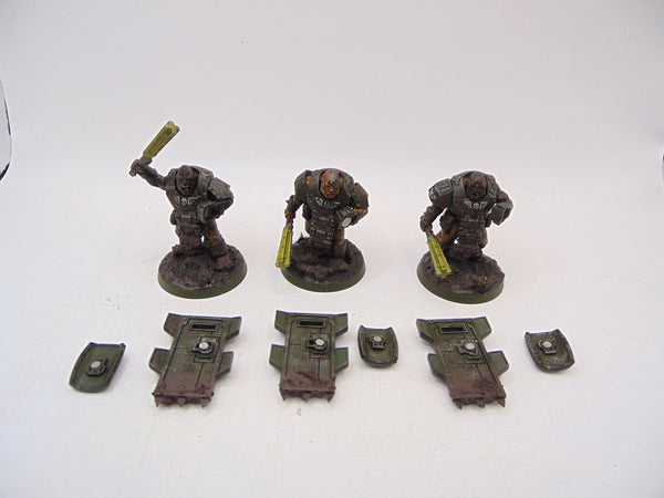 Bullgryns