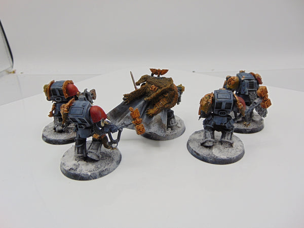 Wolf Guard Terminators