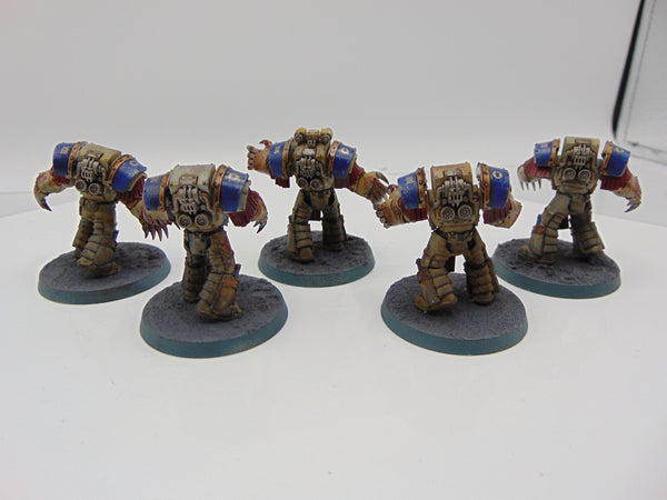 Cataphractii Terminator Squad