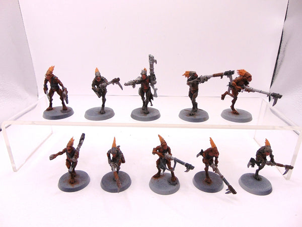 Kroot Carnivores