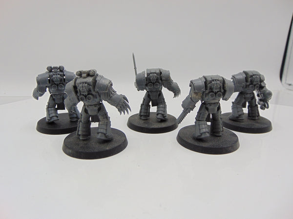 Cataphractii Terminator Squad