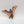 Fell Bat