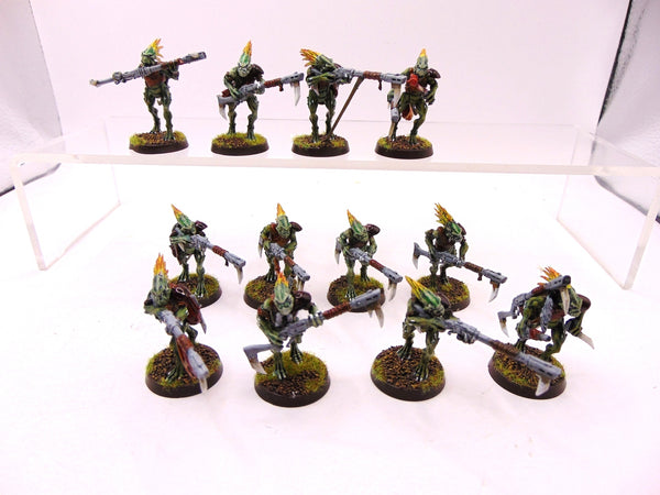 Kroot Carnivores