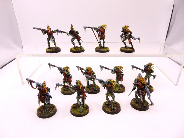 Kroot Carnivores