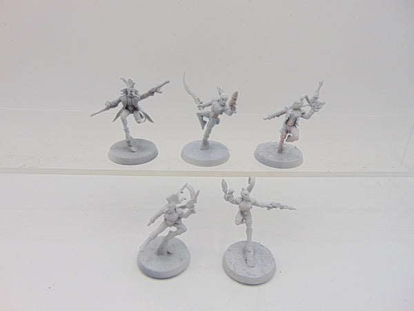 Harlequin Troupe