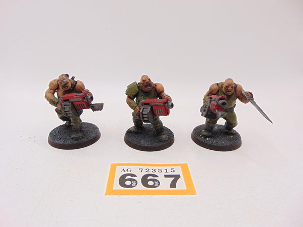 Ogryns
