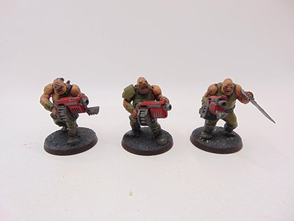 Ogryns