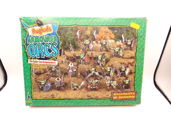 Rugluds Armoured Orcs