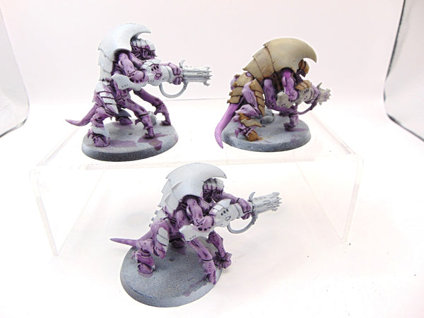 Hive Guard