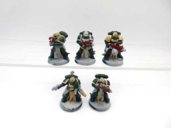 Sternguard Veterans