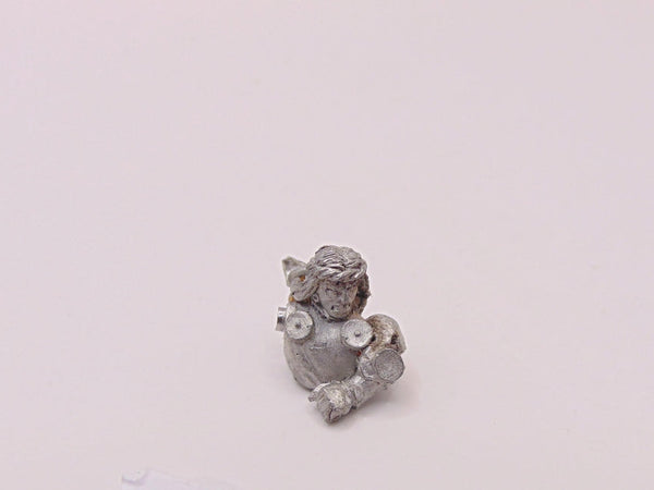 Knight Errant Torso