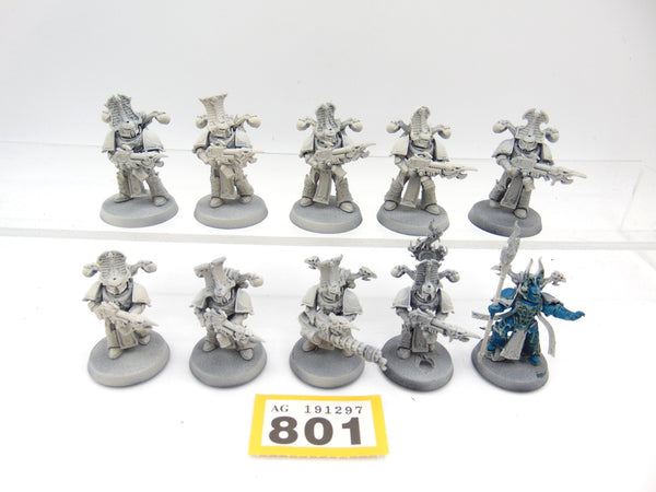 Rubric Marines