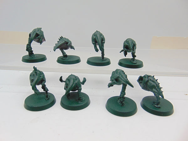 Squig Herd