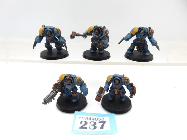 Wolf Guard Terminators