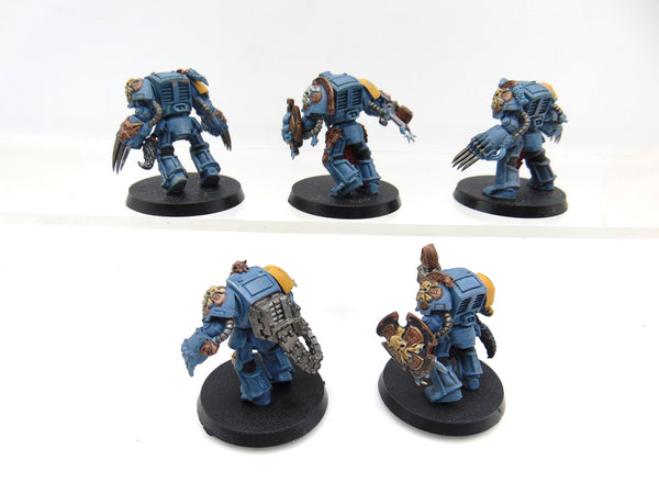 Wolf Guard Terminators