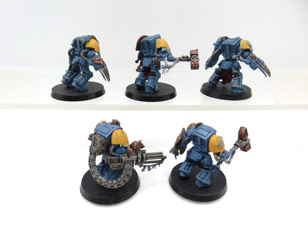 Wolf Guard Terminators