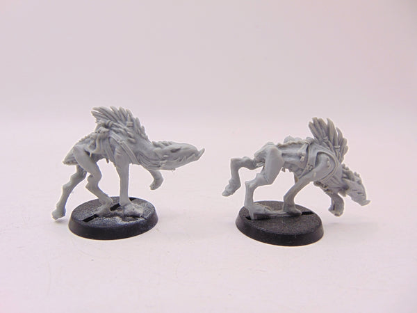Kroot Hounds