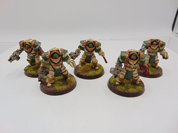 Cataphractii Terminator Squad