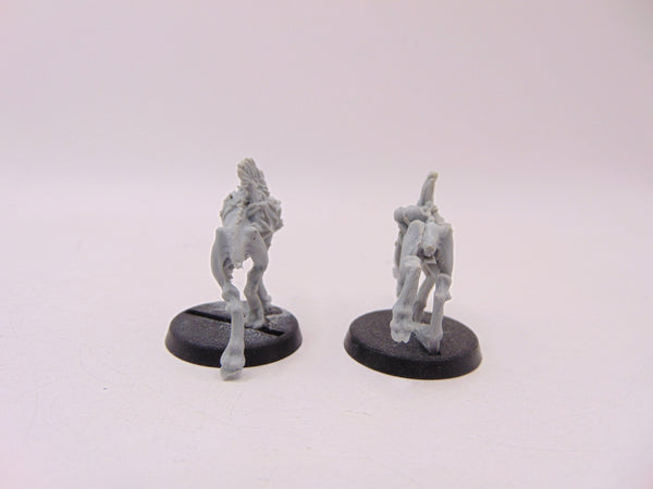 Kroot Hounds