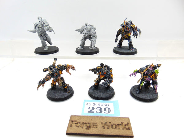 Gal Vorbak