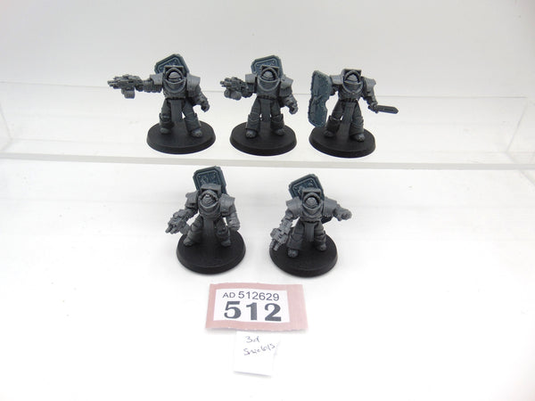 Cataphractii Terminator Squad