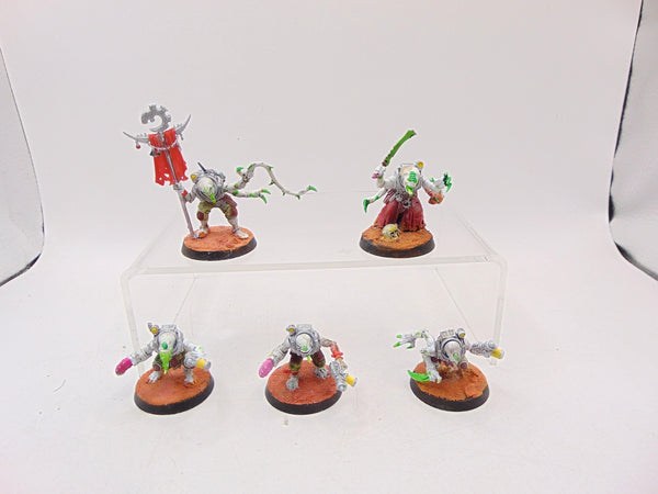 Acolyte Hybrids