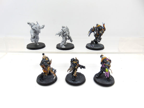 Gal Vorbak