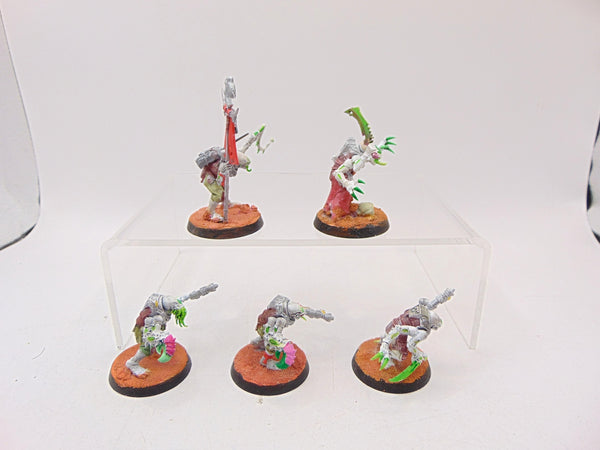 Acolyte Hybrids