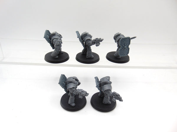Cataphractii Terminator Squad