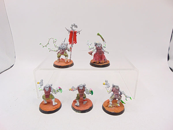 Acolyte Hybrids