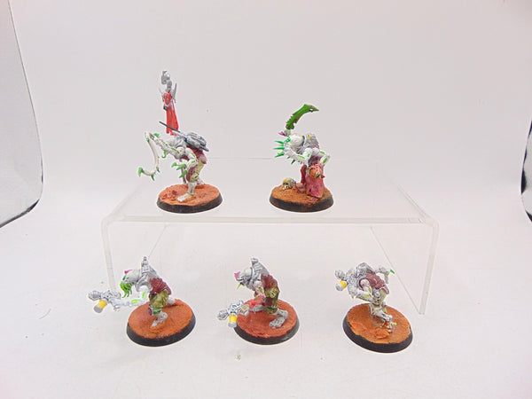 Acolyte Hybrids