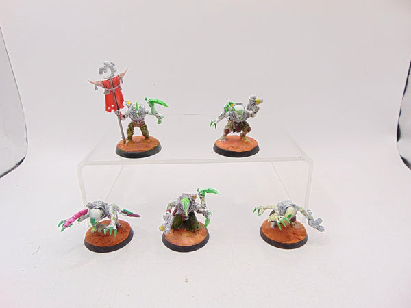 Acolyte Hybrids