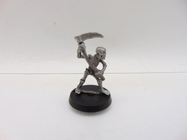Skeleton with Scythe