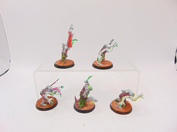 Acolyte Hybrids