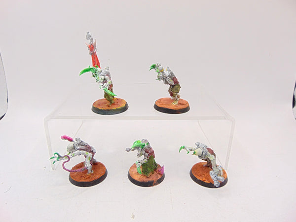 Acolyte Hybrids