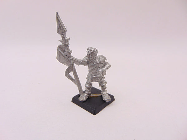 Fighter / Paladin Sir Geoffery Fighter