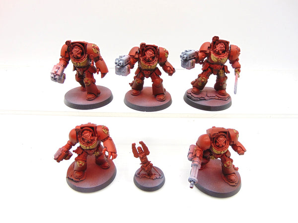 Terminator Squad