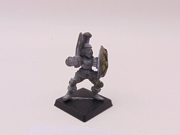 C01 warrior maiden fighter