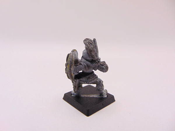 C01 warrior maiden fighter