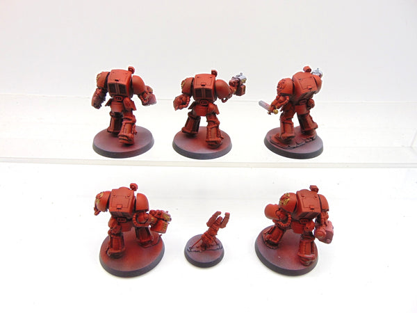 Terminator Squad