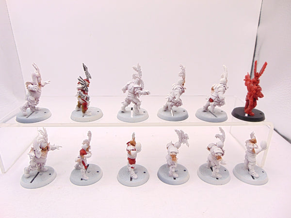 Imperial Nobility Blood Bowl Team
