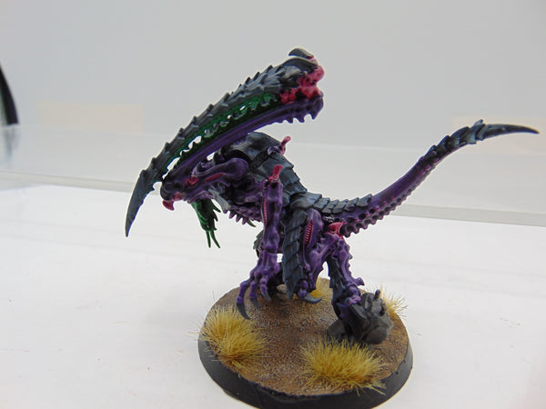 Lictor