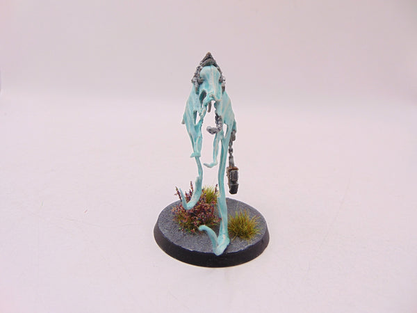 Spirit Torment