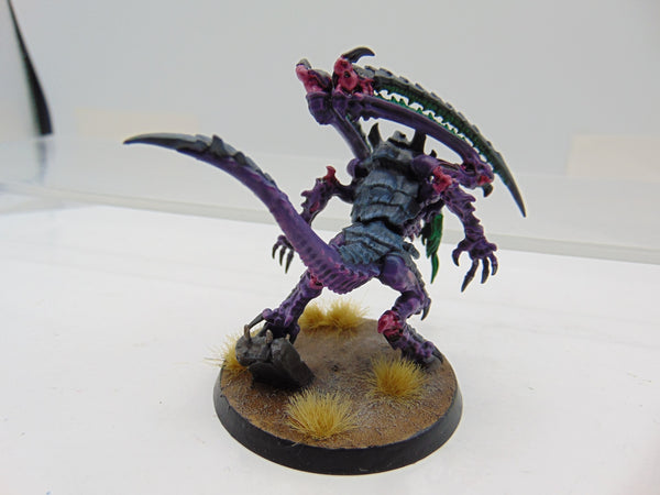 Lictor