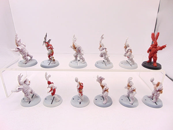 Imperial Nobility Blood Bowl Team