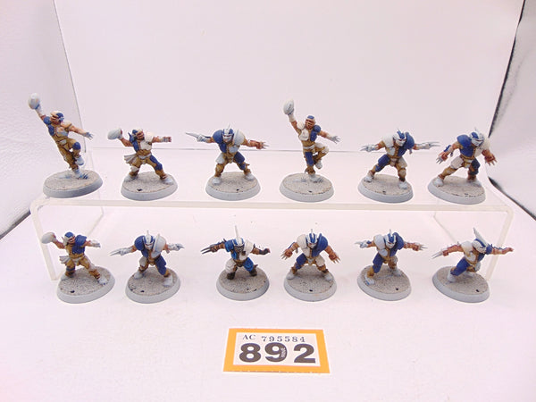 Human Blood Bowl Team