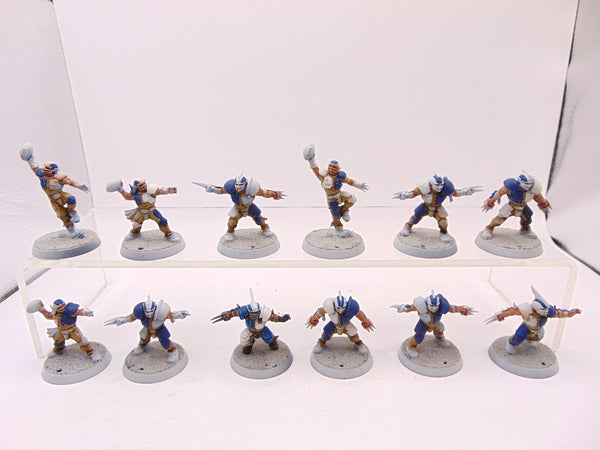 Human Blood Bowl Team