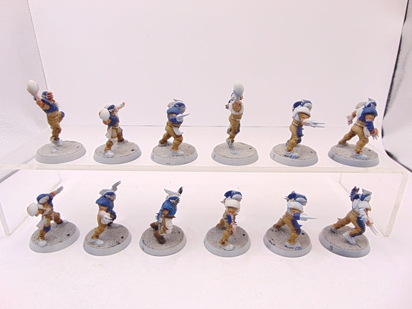 Human Blood Bowl Team
