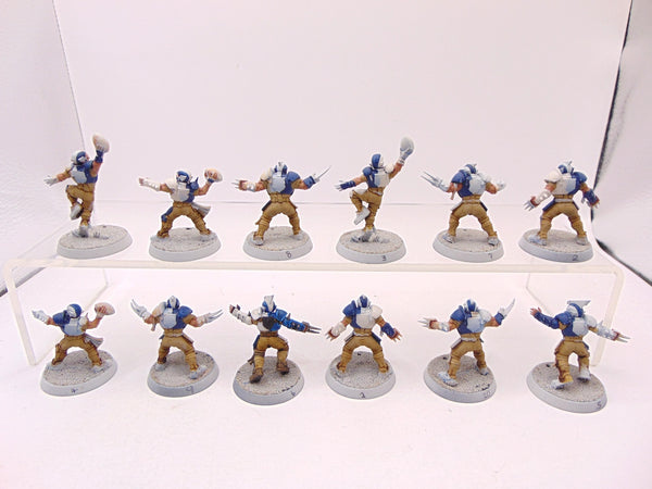 Human Blood Bowl Team